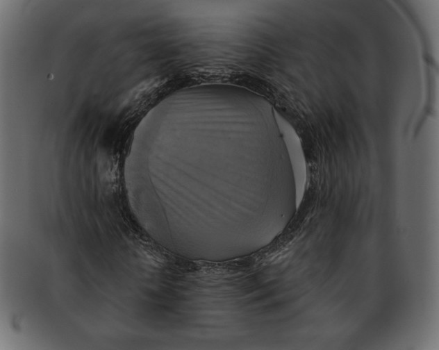 X0000091850818200709261205