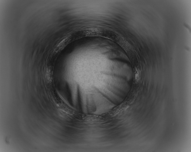 X0000091850819200709261205