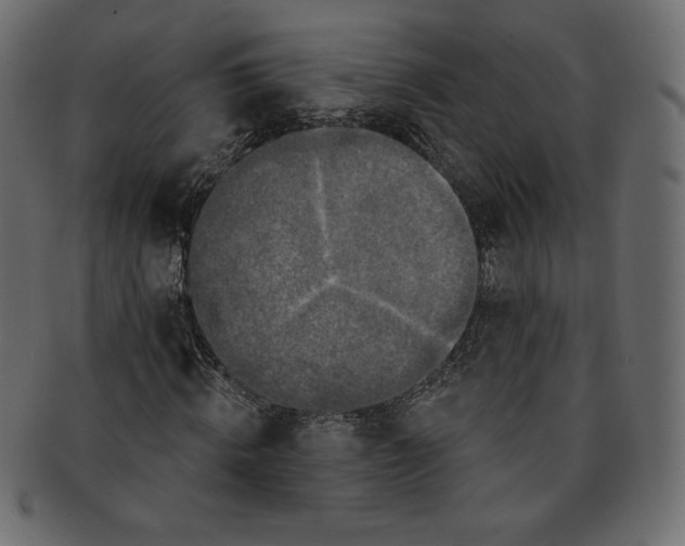 X0000091850820200709261205