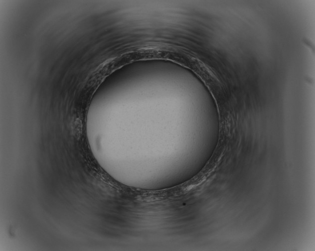 X0000091850821200709261205