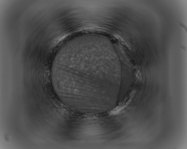 X0000091850822200709261205