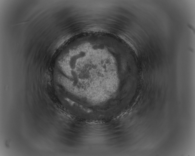 X0000091850823200709261205