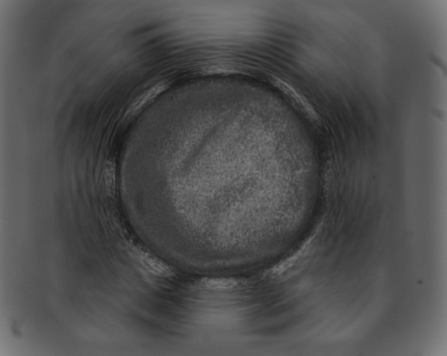 X0000091850825200709261205