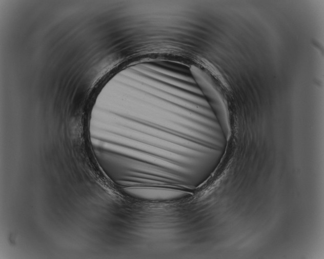 X0000091850826200709261205