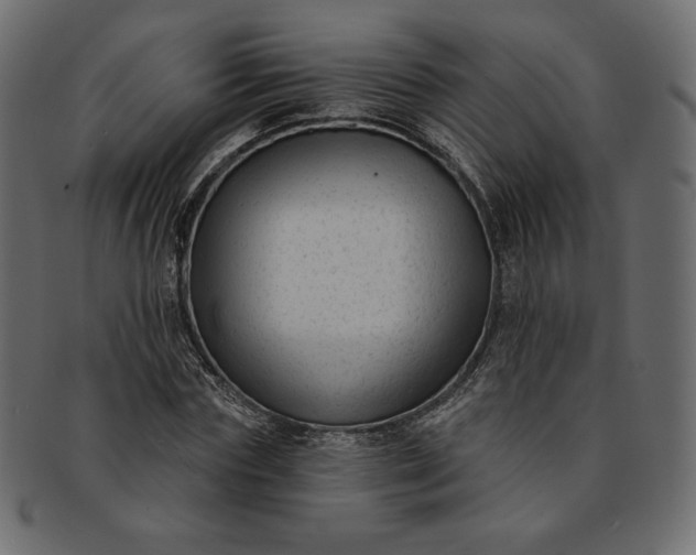 X0000091850827200709261205