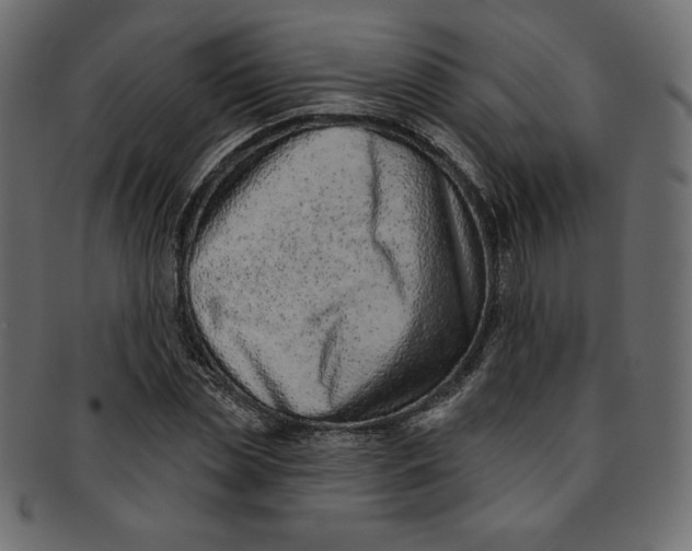 X0000091850829200709261205