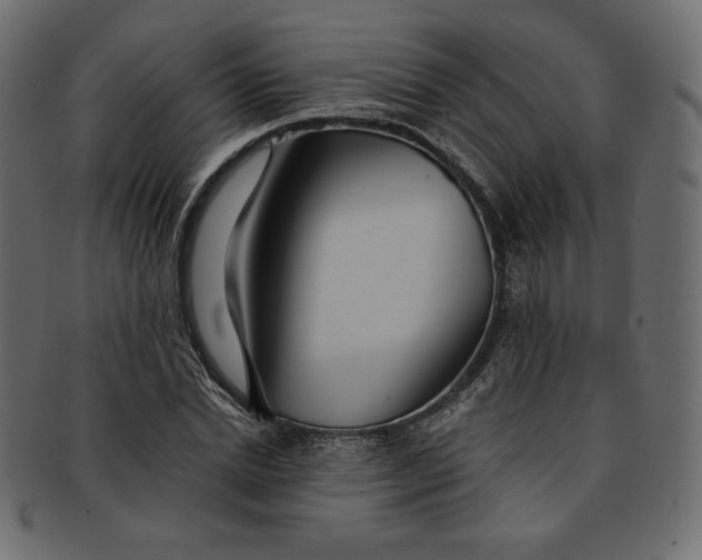 X0000091850830200709261205