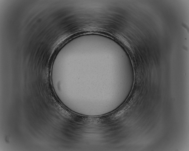 X0000091850831200709261205