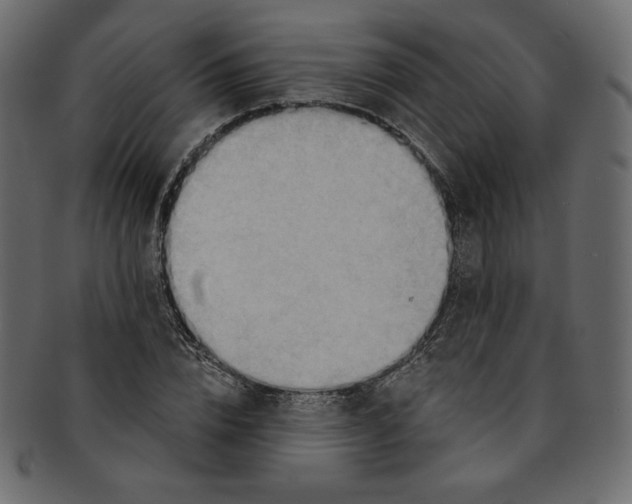 X0000091850832200709261205