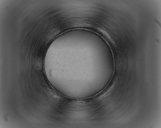 X0000091850833200709261205