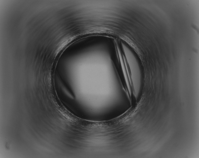 X0000091850834200709261205