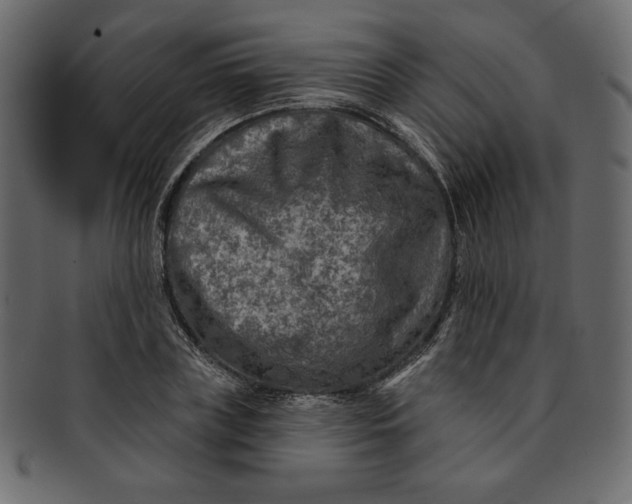 X0000091850835200709261205