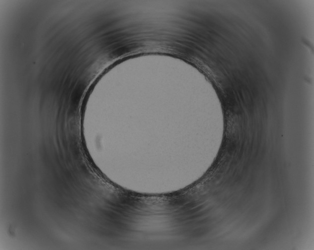 X0000091850836200709261205