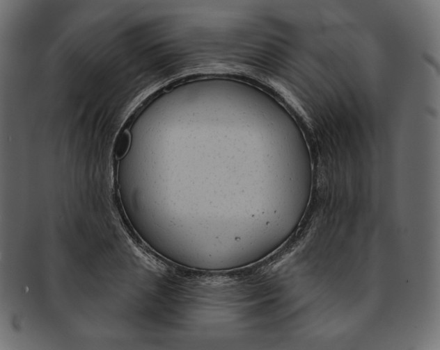 X0000091850837200709261205