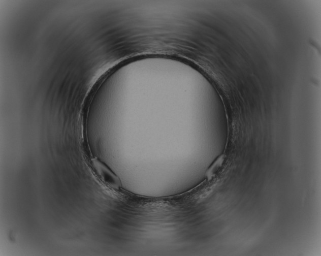 X0000091850838200709261205