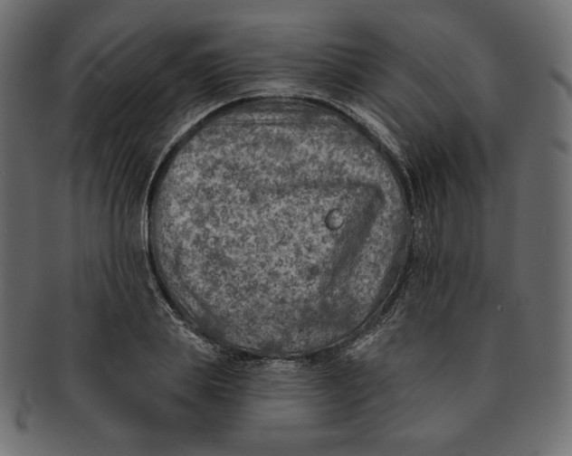 X0000091850839200709261206