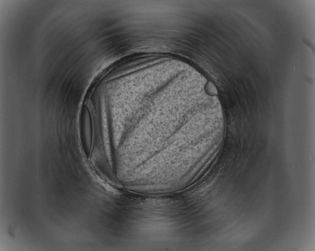 X0000091850840200709261206