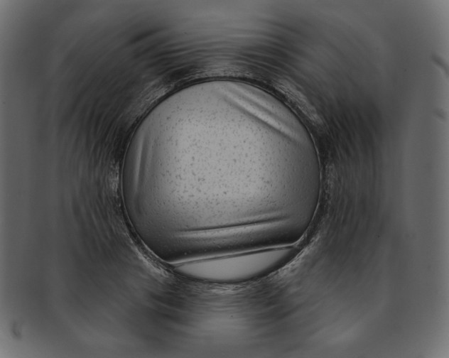 X0000091850841200709261206