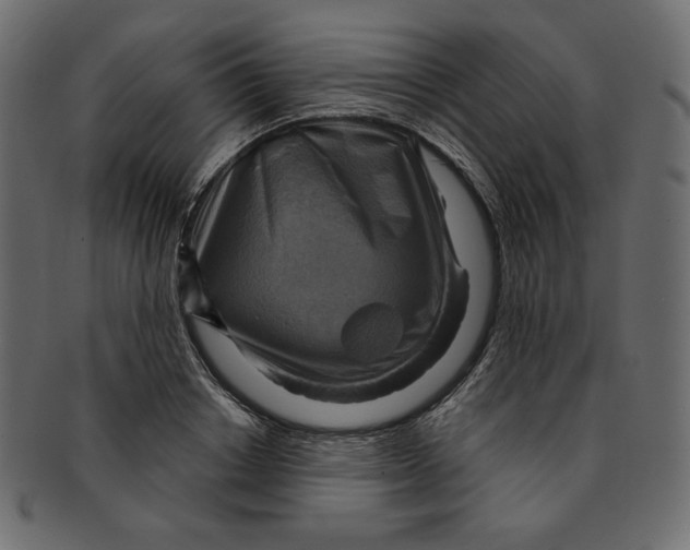 X0000091850842200709261206