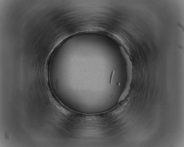 X0000091850843200709261206