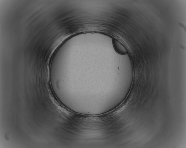 X0000091850844200709261206