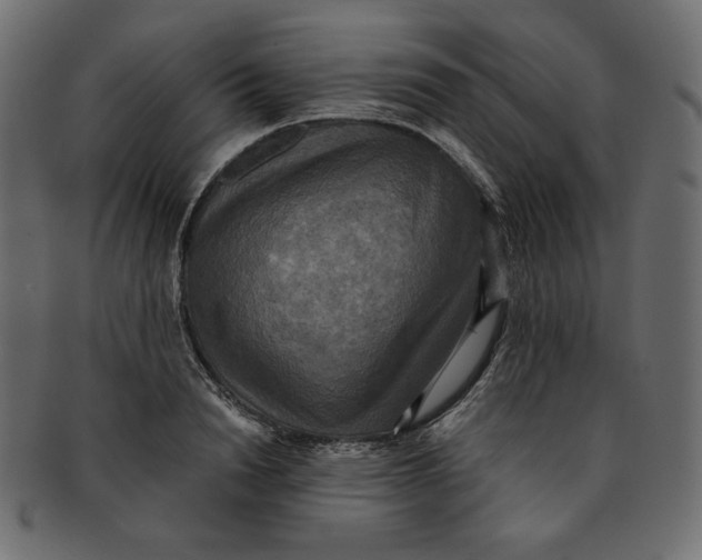 X0000091850846200709261206