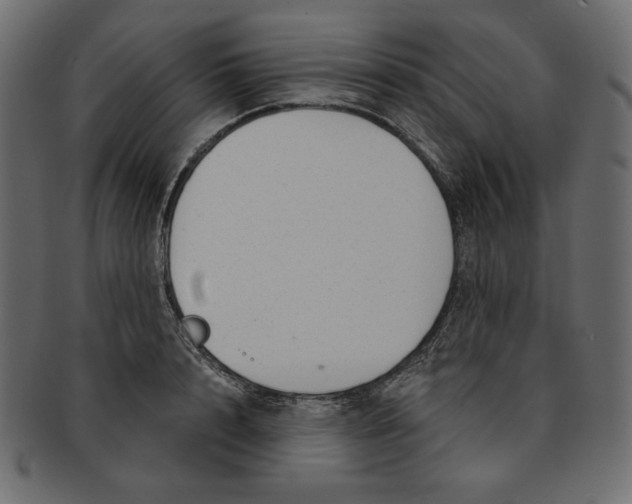 X0000091850848200709261206