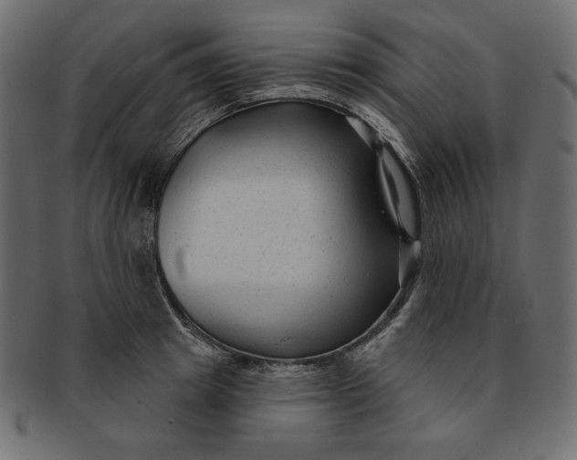 X0000091850849200709261206