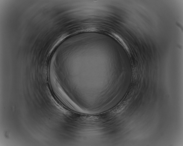 X0000091850851200709261206