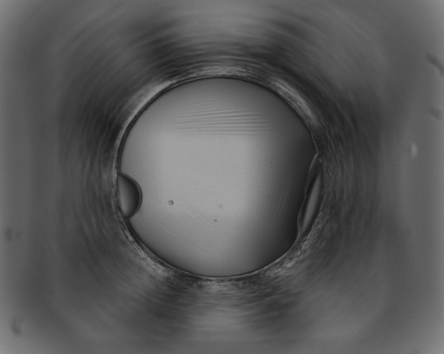 X0000091850852200709261206