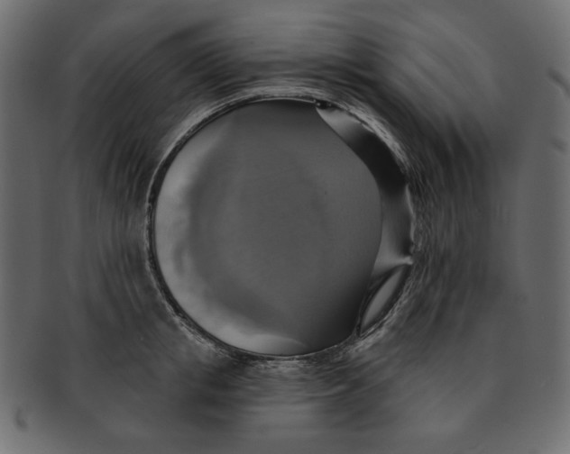 X0000091850853200709261206