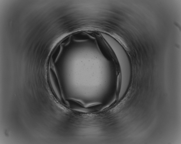 X0000091850854200709261206