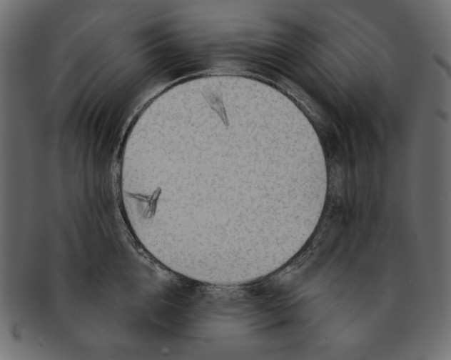 X0000091850856200709261206