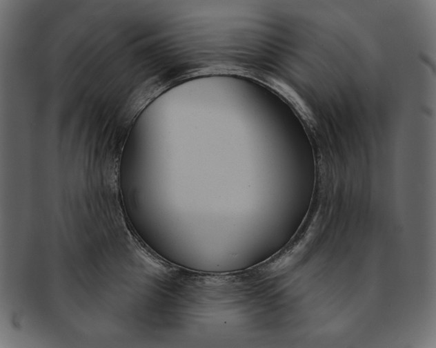 X0000091850857200709261206