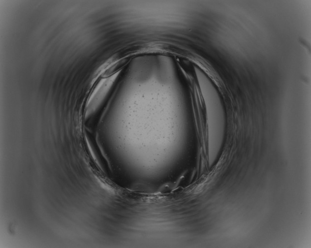 X0000091850858200709261206