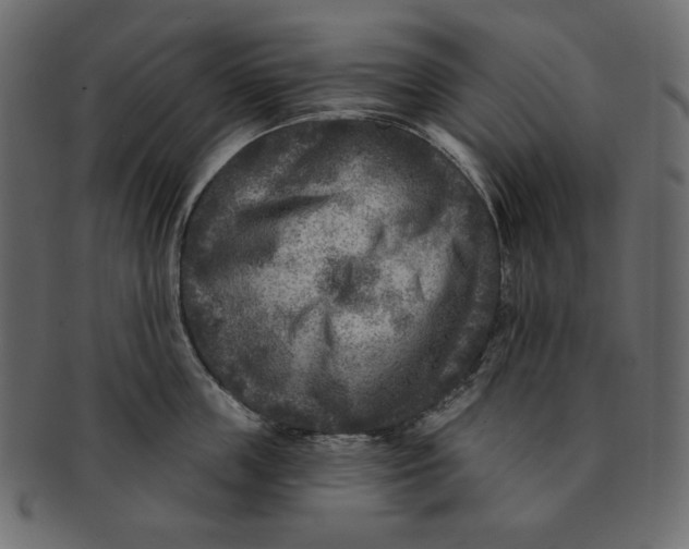 X0000091850859200709261206