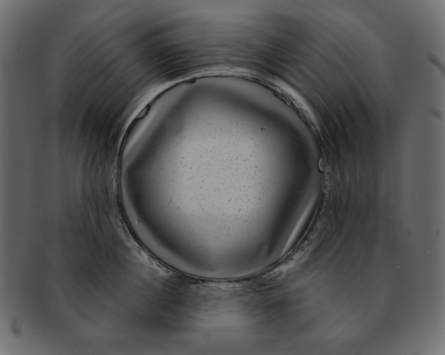 X0000091850860200709261206