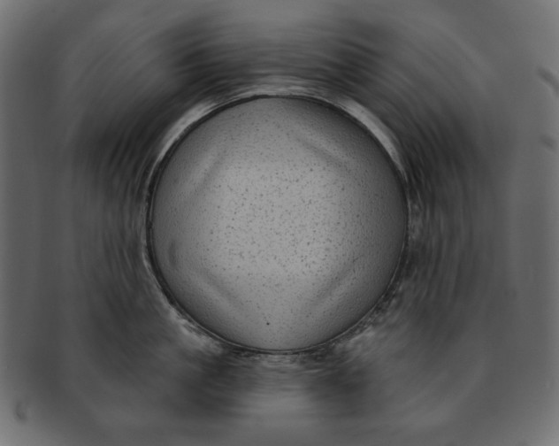 X0000091850861200709261206