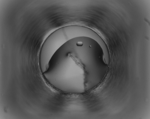 X0000091850862200709261206