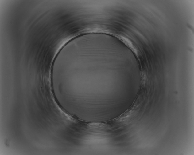 X0000091850863200709261206