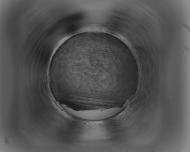 X0000091850864200709261206