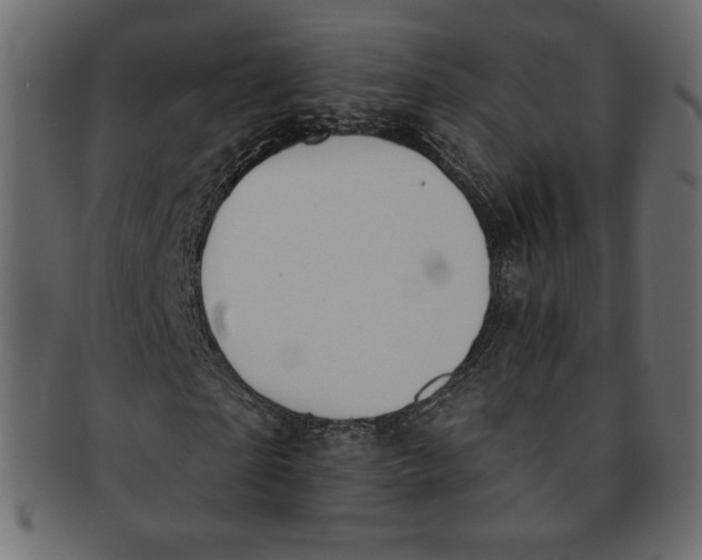 X0000091850865200709261205