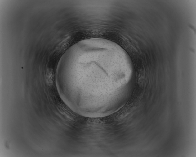 X0000091850866200709261205