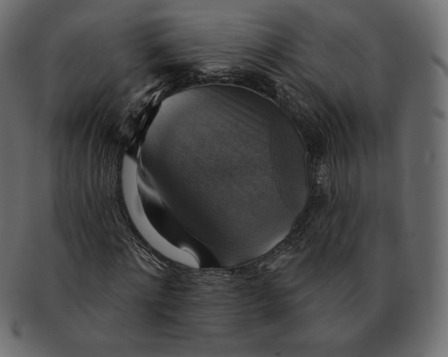 X0000091850868200709261205