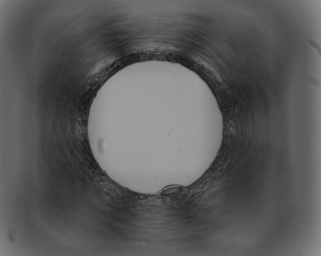 X0000091850869200709261205