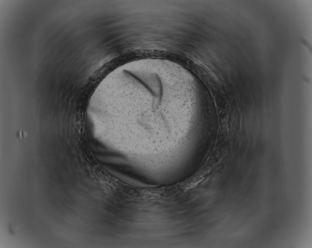 X0000091850870200709261205