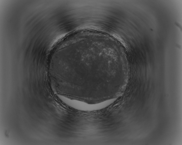 X0000091850872200709261205