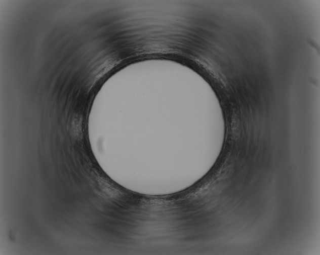 X0000091850873200709261205