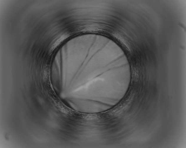 X0000091850874200709261205