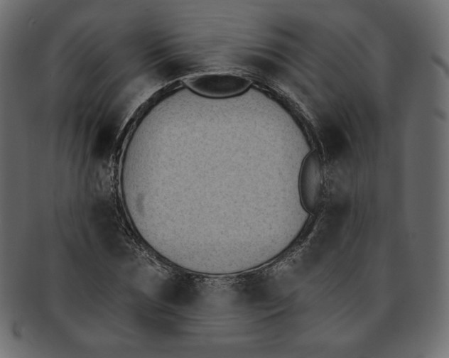 X0000091850875200709261205